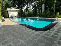 Holland Hill Park (D10), Condominium #464248711